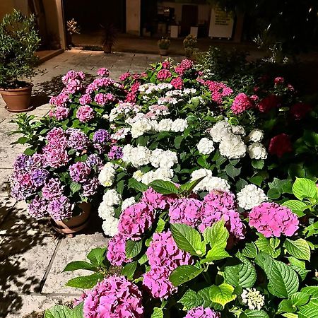 B&B Le Ortensie Castagnole Екстер'єр фото