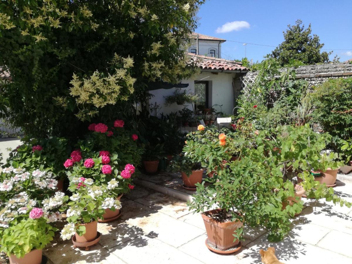 B&B Le Ortensie Castagnole Екстер'єр фото